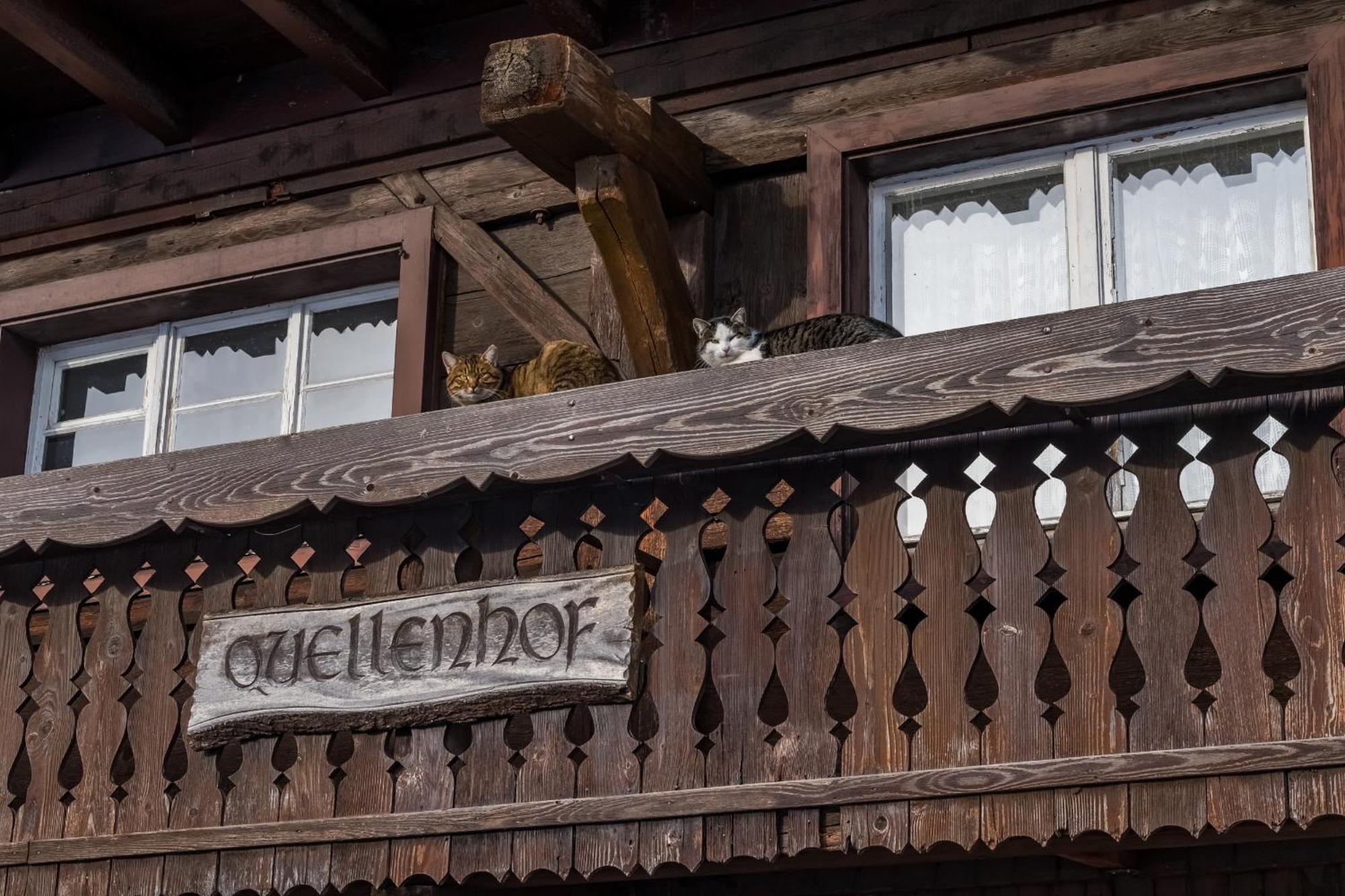 Schwarzwaldliebe Leilighet Frohnd Eksteriør bilde