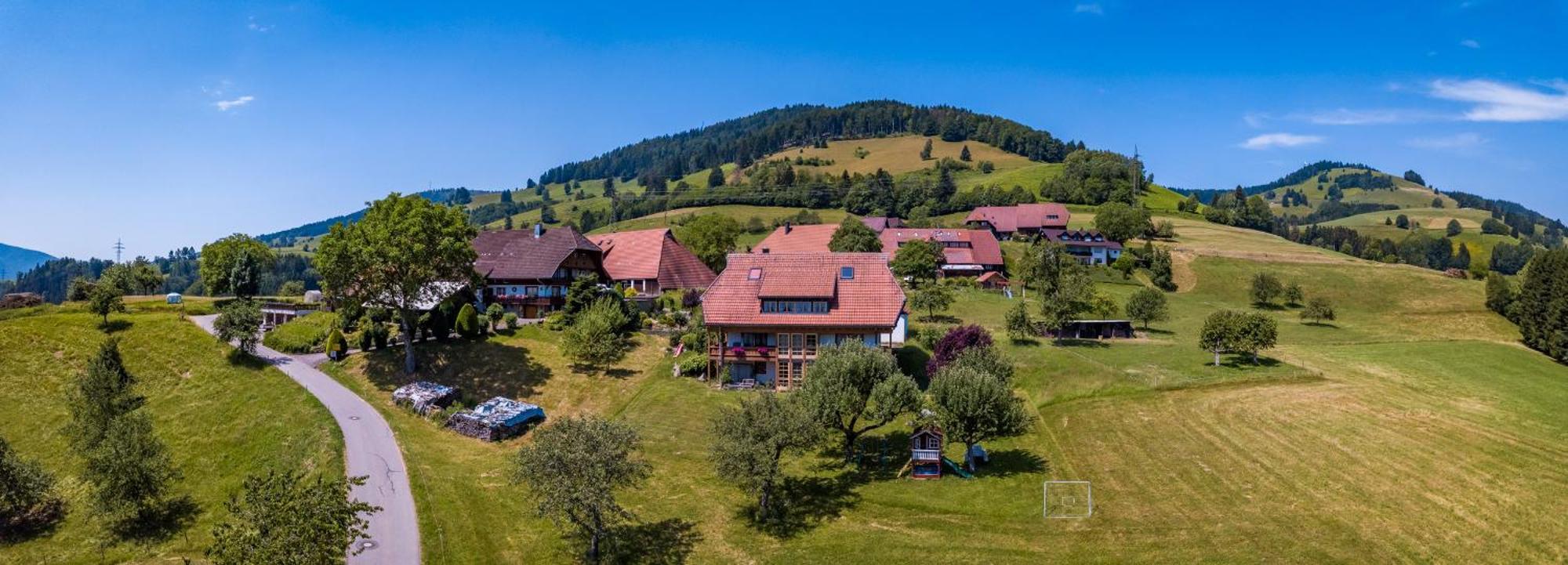 Schwarzwaldliebe Leilighet Frohnd Eksteriør bilde