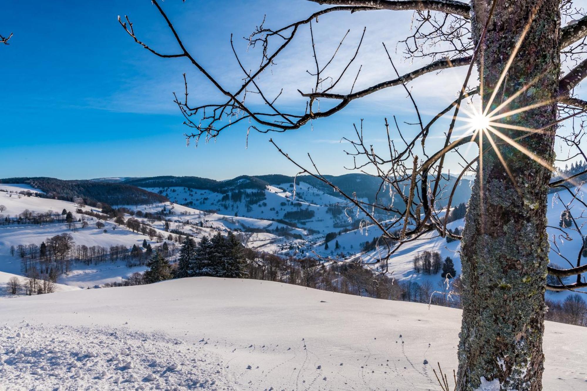 Schwarzwaldliebe Leilighet Frohnd Eksteriør bilde