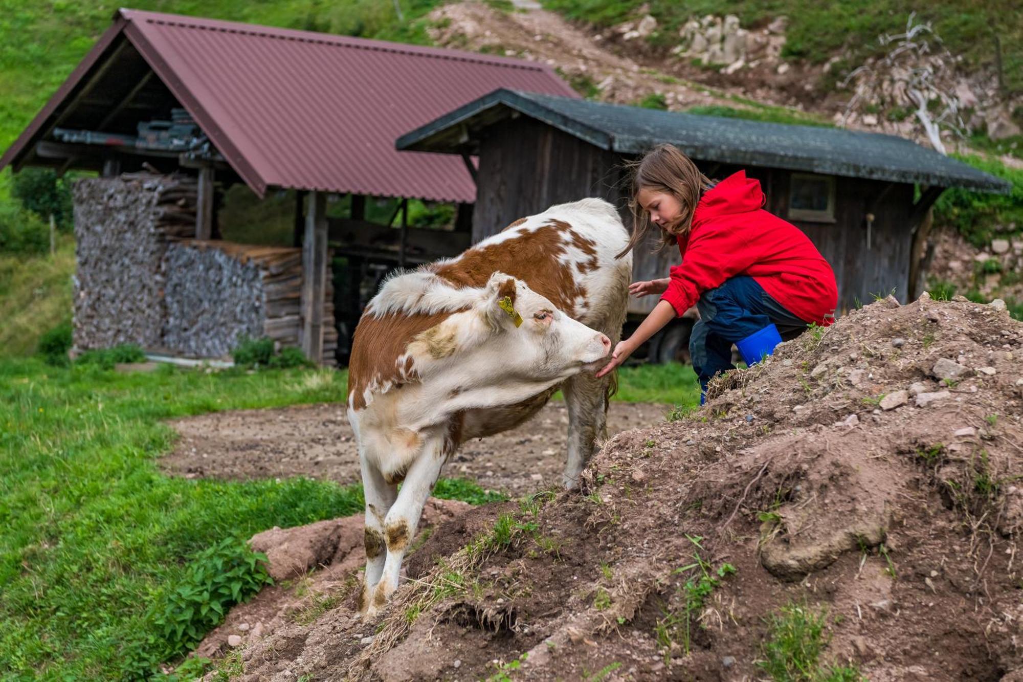 Schwarzwaldliebe Leilighet Frohnd Eksteriør bilde