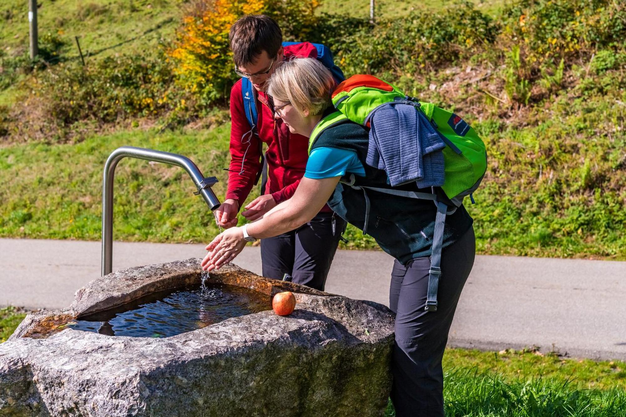 Schwarzwaldliebe Leilighet Frohnd Eksteriør bilde
